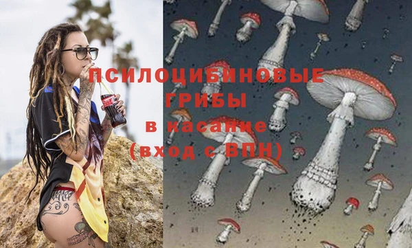 ПСИЛОЦИБИНОВЫЕ ГРИБЫ Абдулино