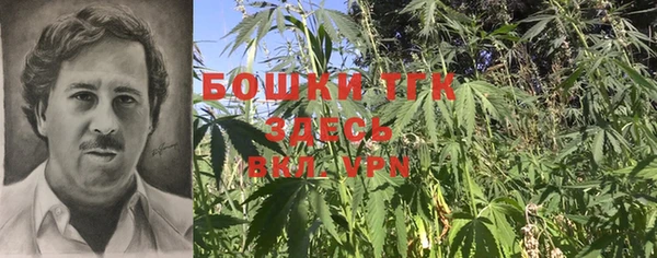 2c-b Осинники