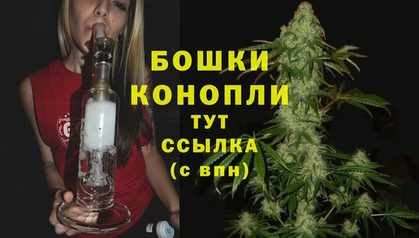 соль ск Осташков