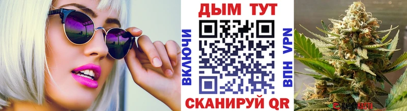 Канабис сатива  Кириллов 